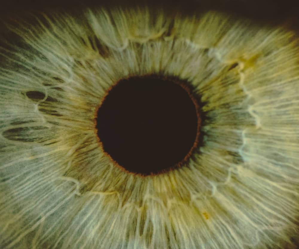 EMDR - Amandine Dangaly